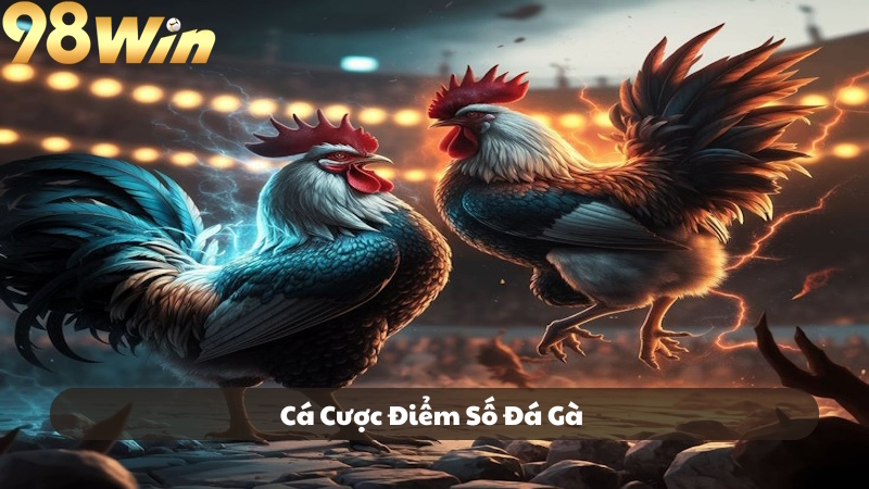 Nhà cái 98Win cung cấp hàng loạt trận đấu nổi tiếng
