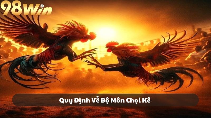 Nên hiểu rõ thắng thua khi theo dõi chọi kê