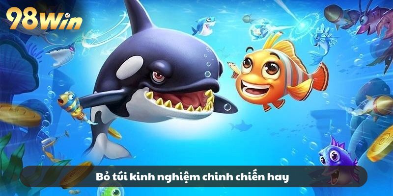 Bỏ túi kinh nghiệm chinh chiến hay