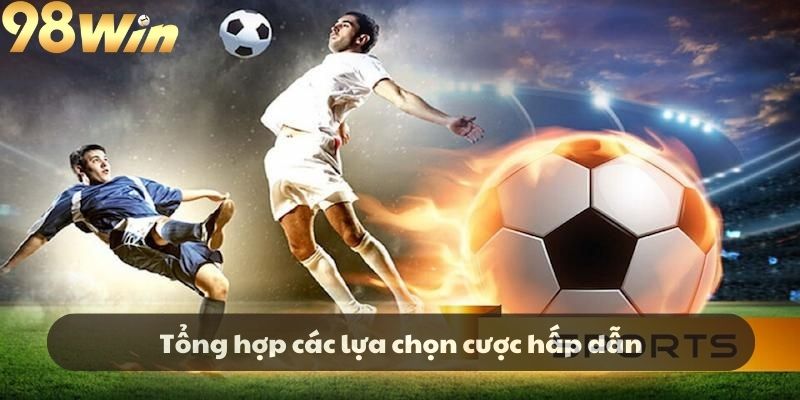 Tổng hợp các lựa chọn cược hấp dẫn