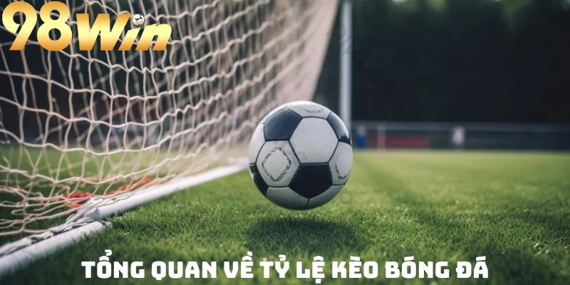 Khái niệm tỷ lệ kèo không phải ai cũng biết